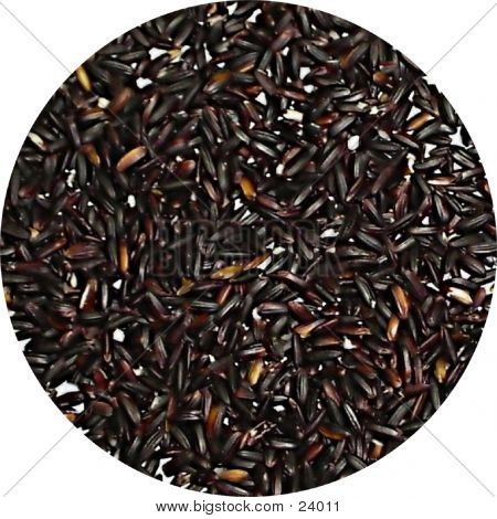 Arroz glutinoso preto - Close-Up