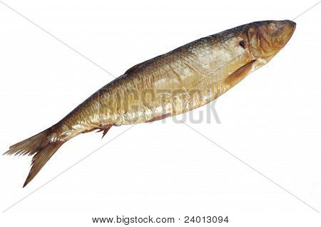 Geräucherte Bloater