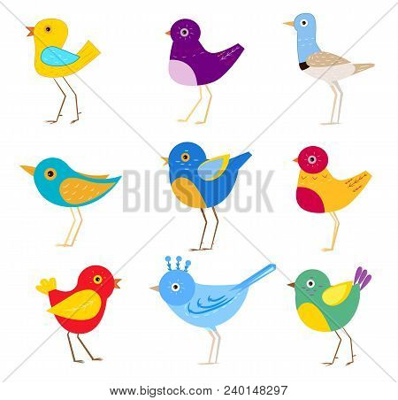 Seth Of Beautiful Colorful Birds That Fly To Warm Countries When It Comes Cold