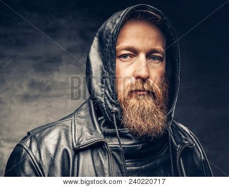 Dramatic Studio Portrait Of Redhead Bearded Male Dressed In A Leather Jacket Over Dark Grey Vignette