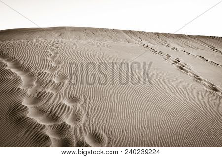 Footprints In The Middle Of The Desert And Sand Dunes