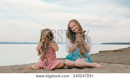 Two Children Playing Which Dogs On The Sand On The Beach. Kid Play With Dogs. They Squeeze Them, Thr
