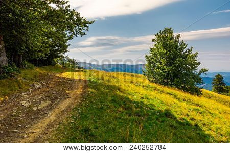 Country Road Through Forested Hillside. Lovely Summer Scenery Of Carpathian Mountains. Apetska Mount