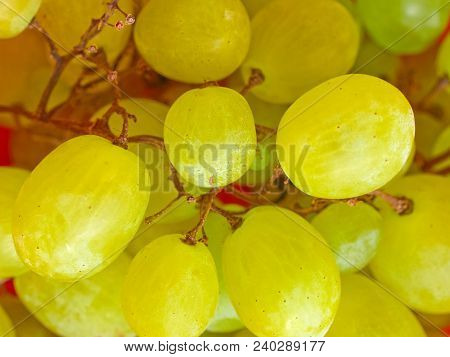 White Grape (vitis Vinifera) Fruit Vegetarian Food