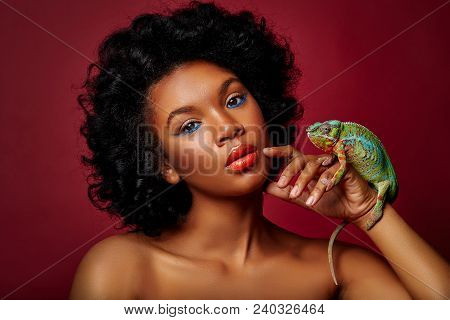 Beautiful Young Woman With Bright Makeup Holding Chameleon Lizard. Studio Beauty Sgot On Red Backgro