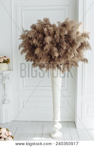 Dry Thistle, Burdock And Reeds Common Bulrush In Vase Isolated On White Wall Background.