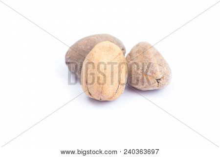 Thai Herb Name Croton Tigliums Isolated On White Background. Thai Herb Medicine Concept.