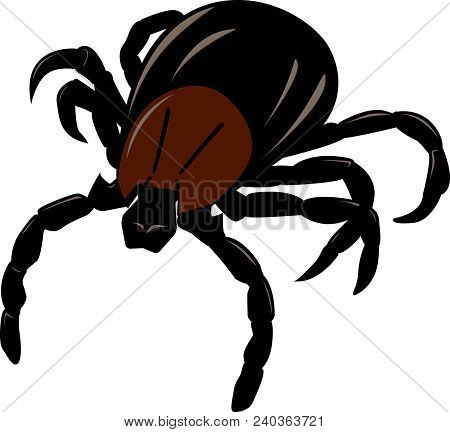 Mite. Insect Parasite Warning Vector Image. Danger Insect.