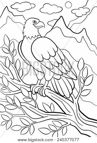 Coloring Pages Wild Birds Cute Eagle Sits On The Tree Branch And Smiles