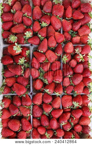 Ripe Strawberies Background. Vertical. Close-up Top View