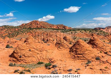 Vivid sandstone formation in Coyote Buttes North. These formations could be seen in Paria Canyon-Vermilion Cliffs Wilderness between the towns of Kanab, Utah and Page, Arizona. USA