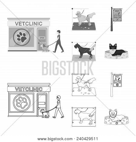 Visiting A Vet Clinic, A Signboard Of A Stylish Salon For A Pet, A Haircut Of Dogs. Vet Clinic And P