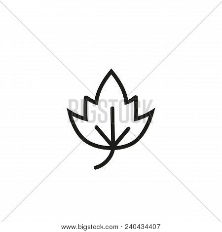 Birch Leaf. Flat Thin Line Illustration. Poplar, Ivy, Foliage. Leaf Concept. For Nature, Ecology, En