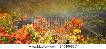Automatic Watering The Flowers In The Park On A Sunny Morning.