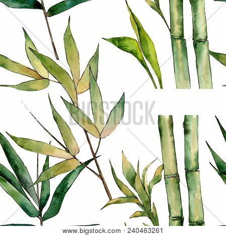 Bamboo Tree Pattern Image & Photo (Free Trial) | Bigstock