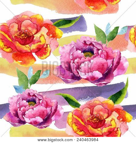 Wildflower Peony Pink Flower Pattern In A Watercolor Style. Aquarelle Wildflower For Background, Tex