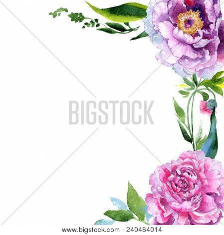Wildflower Peony Pink Flower Frame In A Watercolor Style. Aquarelle Wildflower For Background, Textu