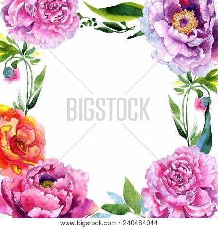 Wildflower Peony Pink Flower Frame In A Watercolor Style. Aquarelle Wildflower For Background, Textu