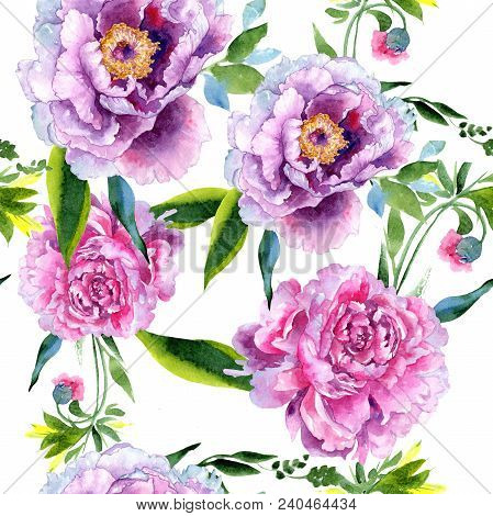 Wildflower Peony Pink Flower Pattern In A Watercolor Style. Aquarelle Wildflower For Background, Tex