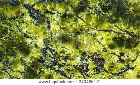 Panoramic Background From Polished Green Serpentinite Natural Stone Close Up