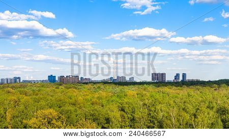 Above View Of Green Forest Of Timiryazevsky Park In Moscow City In Sunny Summer Day