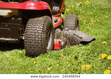 Cutting The Grass Of On A Tractor Lawn Mower .