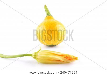 Colorful And Crisp Image Of Cucurbit And Flower On White