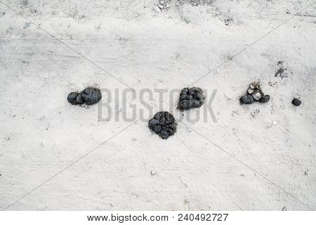 Pile Of Horse Manure On A Sand Road. A Pile Of Fresh And Smelly Horse Manure On A Dirt Road. Droppin