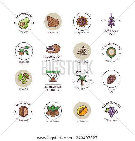 Healthy Bio Cosmetics Oil Linear Vector Logos. Avocado And Almond Oil, Sunflower Seed And Lavender I