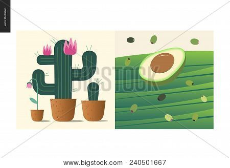 Simple Things - Color - Flat Cartoon Vector Illustration Of Blooming Cacti And Pink Flower Growing I