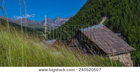 Queyras Regional Park In Alps In France