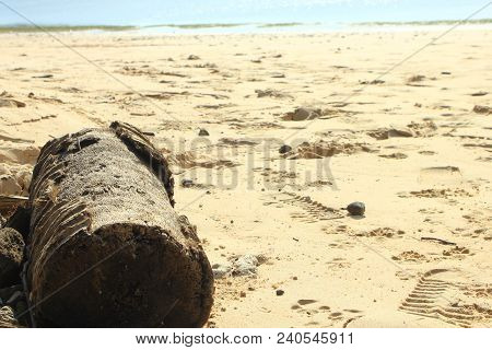 Piece Of Wood At Lombok Beach Sumbawa Ntt Indonesia