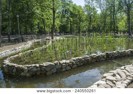 An Artificial Lake With Rocks In The Park. Beauty Concept