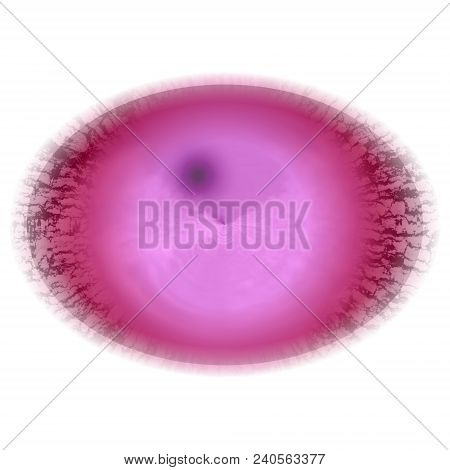 Rentgen Photo. Isolated Elliptic Animal Red Eye With Large Pupil And Bright Retina. Shinning Iris Ar