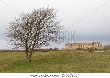 Borgholm, Sweden - Apr 28 2018: Ruin Of The Borgholm Castle, A Tree In The Foreground. Borgholm, Swe