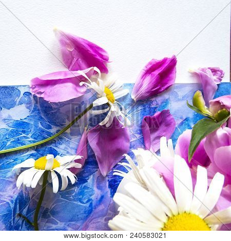 Art Watercolor Background. Hand Drawn Texture.paper And Flower. Abstract Colorful Background  For De