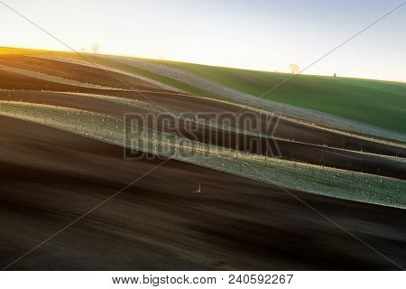 Detail Of South Moravian Field, Czech Republic.