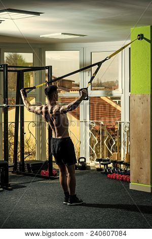 Man With Nude Torso, And Muscular Back In Gym Enjoy Training, Trx. Sport And Gym Concept. Man With T