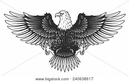 Eagle Isolated On White Vector Illustration. Vector Illustration.