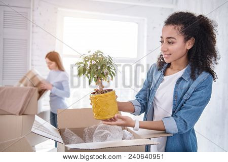 Element Of Decor. Charming Young Girl Retrieving A Plant From The Box And Smiling While Roommate Unp