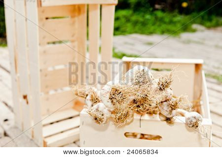 Knoblauch in einer Holzkiste