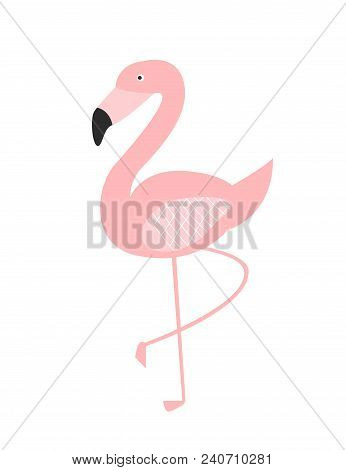 Standing Flamingo Illustration. Pink Tropical Birg Stands On One Leg Isolated On White Background