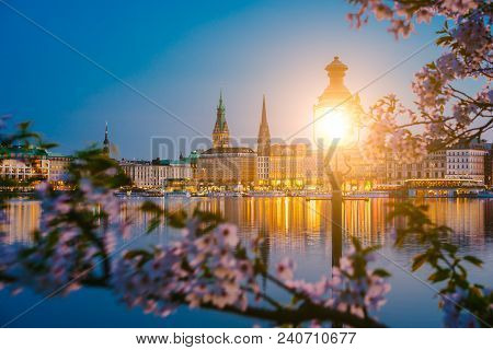 Burn Lantern Between Branches Of Cherry Blossom Flowers On Calm And Beautiful Alster River And Hambu