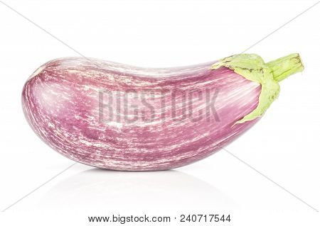 One Striped Purple Eggplant Isolated On White Background