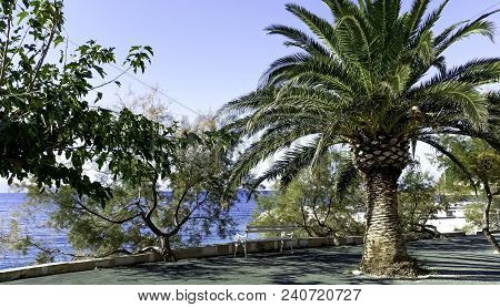 Path On The Croatian Coast With Adriatic Sea In Background - Podgora, Makarska Riviera, Dalmatia, Cr