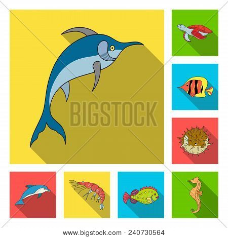 A Variety Of Marine Animals Flat Icons In Set Collection For Design. Fish And Shellfish Vector Symbo