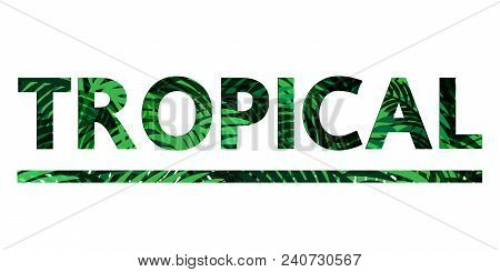 Tropical Text Green Leaves Abstract Vector Design.