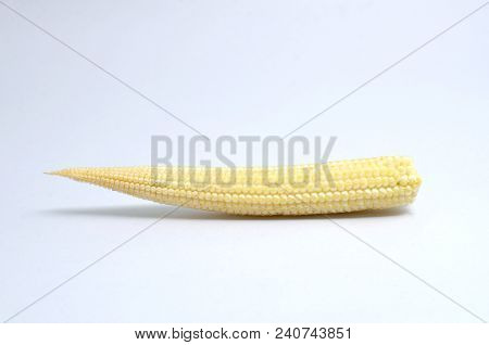Baby Cornis Vegetable Organic Food Ingredients Can Be Used For Cooking.