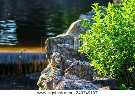 Cold Transparent Water Of Decorative Artificial Waterfall In Summer Park.
