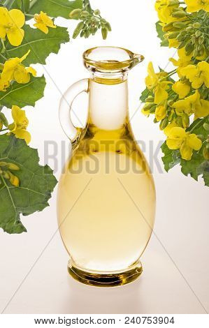 Rapeseed oil in a glass bottle isolated on a white background